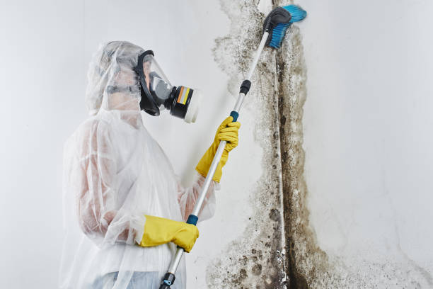 Mold Removal for HVAC Installations in Garden City, KS