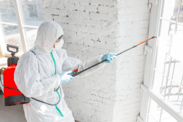 Environmental Consulting for Mold Prevention in Garden City, KS